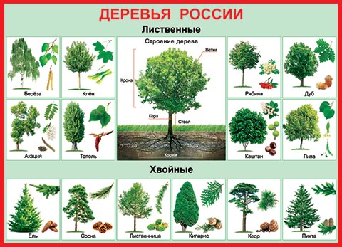 По россии открытка По россии открытка