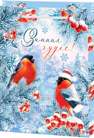 10-20-5037  ./. (MS).  