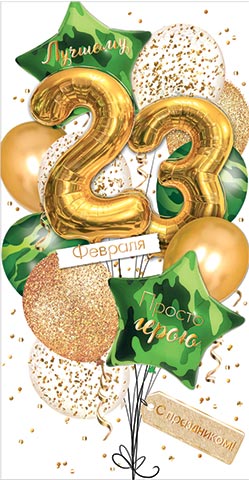 23 ������� (��). �������� �����