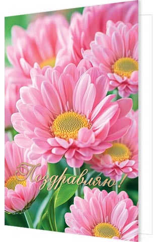 ����������! (������������ �������). �������� �����