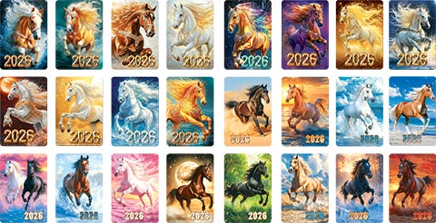   2026 (24 .) ( )