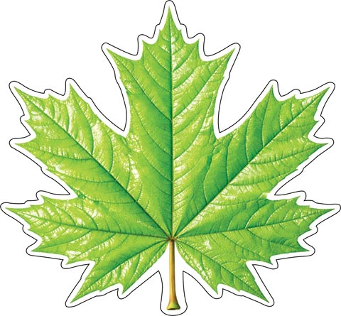 �������� ��� ��������� �� ������. �������� �����