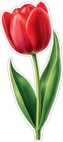 �������� ��� ��������� �� ������. �������� �����