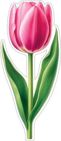 �������� ��� ��������� �� ������. �������� �����